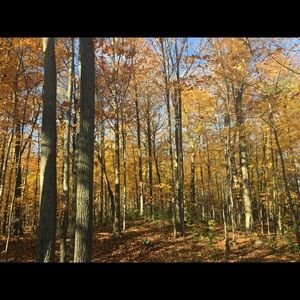 Meet your Posher, Nadia